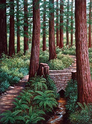 Oil painting of a Redwood path.