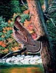 Oil painting of grouse with fall colors.