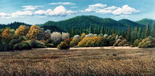 Oil painting of Felton meadow.