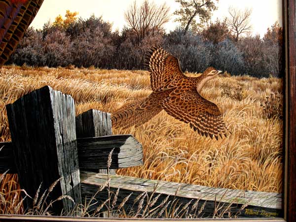 Gouache of Pheasant.